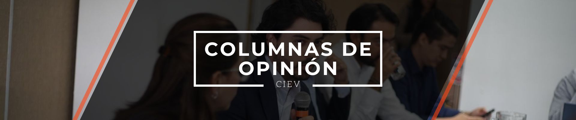 Columnas de Opinión