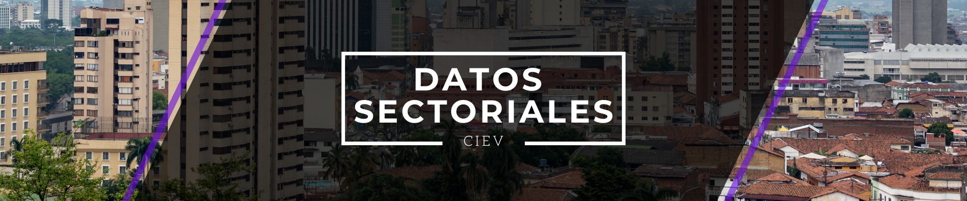 Datos Sectoriales CIEV