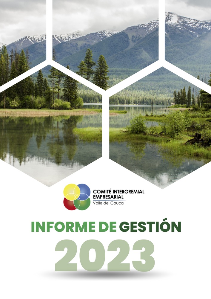 Informe de Gestión 2023